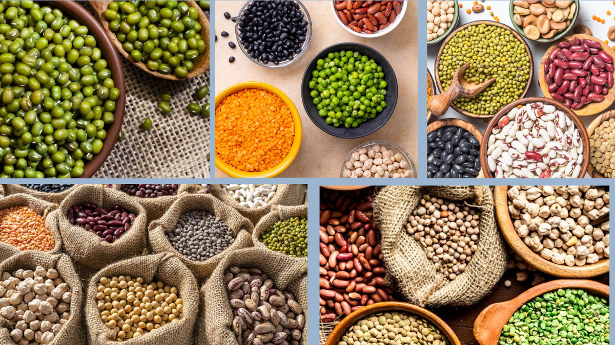 The Best Beans for Gut Health, According to Research