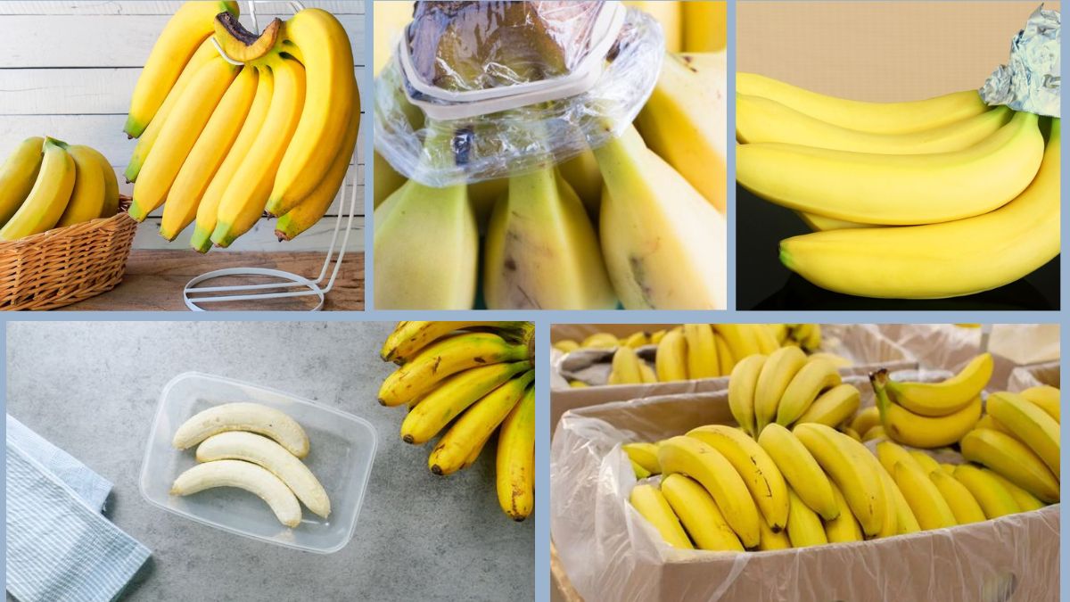 How to Store Bananas to Prevent Quick Ripening