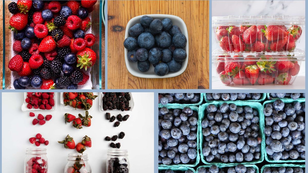 How to Store Berries to Avoid Mold