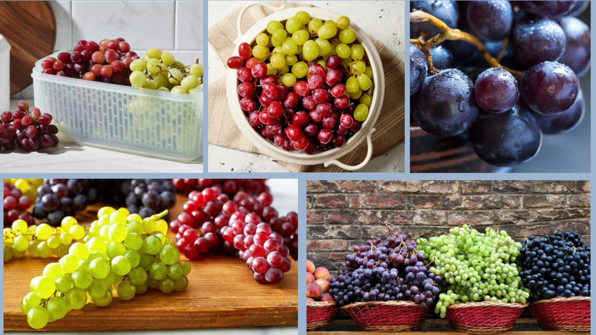 How to Store Grapes for Extended Crispness